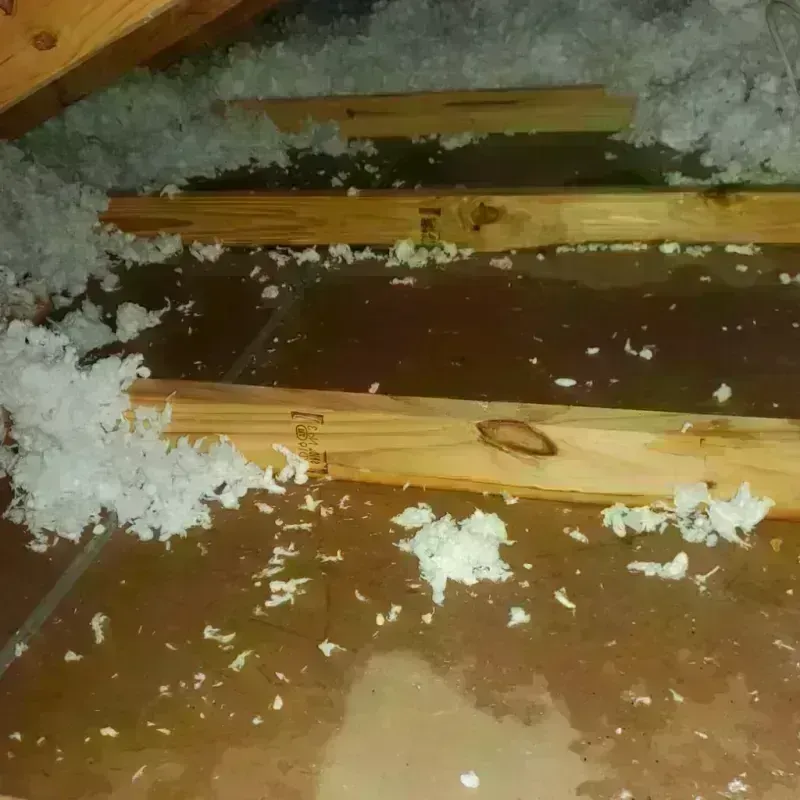 Attic Water Damage in La Grange, KY